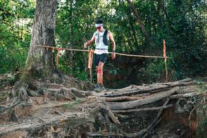 BIB: 
                            <button type="button" onclick="openModal(27752088)" class="btn btn-primary btn-sm float-right btn-popup" data-toggle="modal" data-target=".modal-high-quality">
                        <i class="fas fa-shopping-cart"></i> Add to Cart
                    </button>
                                            <button type="button" onclick="isThisMe(27752088, true)" class="btn btn-success btn-sm float-right btn-popup btn-isme hidden" data-toggle="tooltip" data-placement="bottom" title="นี่คือรูปของคุณใช่ไหม คลิกที่นี่เพื่อเอาเข้าอัลบั้ม">
                        <i class="fas fa-plus"></i> Add to album
                    </button>
                    <button type="button" onclick="isThisMe(27752088, false)" class="btn btn-warning btn-sm float-right btn-popup btn-isnotme hidden">
                        <i class="fas fa-ban"></i> Remove from album
                    </button>